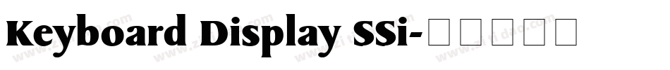 Keyboard Display SSi字体转换